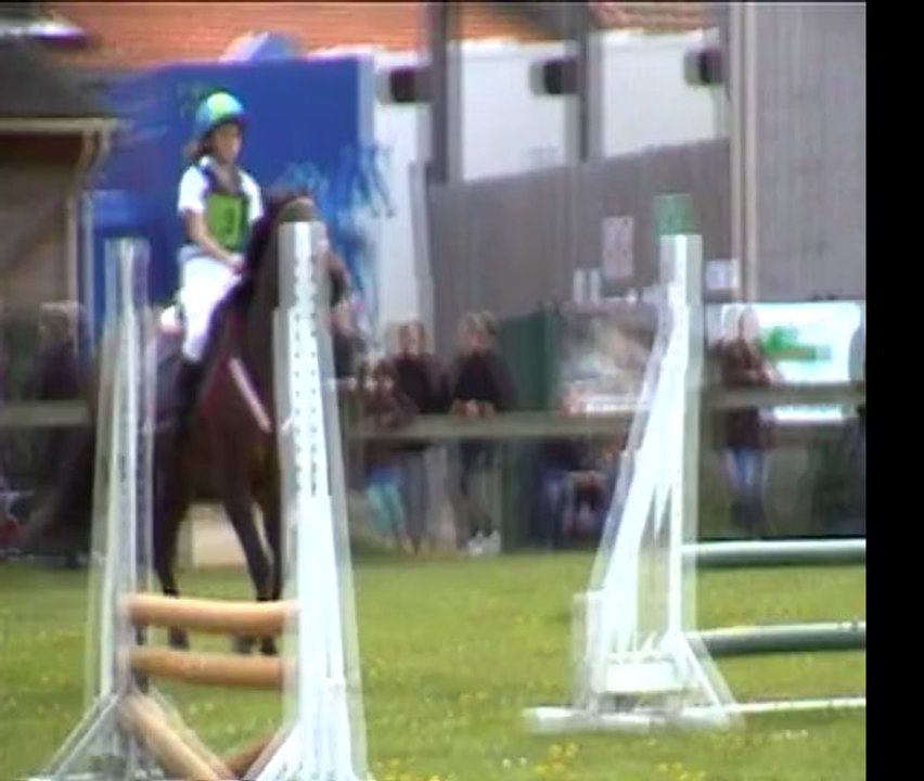 cce salantine 2011
