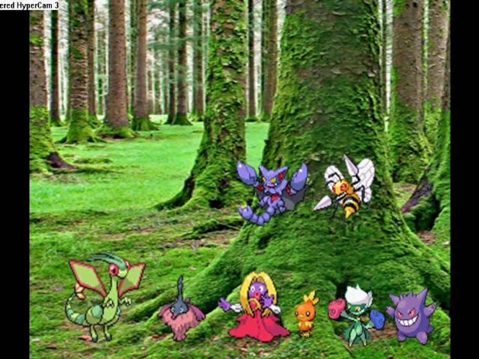 Stranded on Poke World Tour Ep.8-Madagascar Madness pt.2