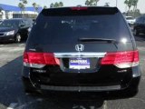 2010 Honda Odyssey for sale in Pompano Beach FL - Used Honda by EveryCarListed.com