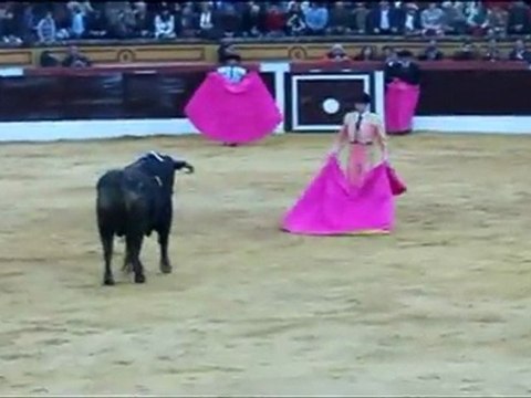 OLIVENZA-2 MARZO-2012-NOVILLADA