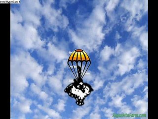 Stranded on Poke World Tour Ep.11-The 4 Leaf Clover of Immunity pt.4