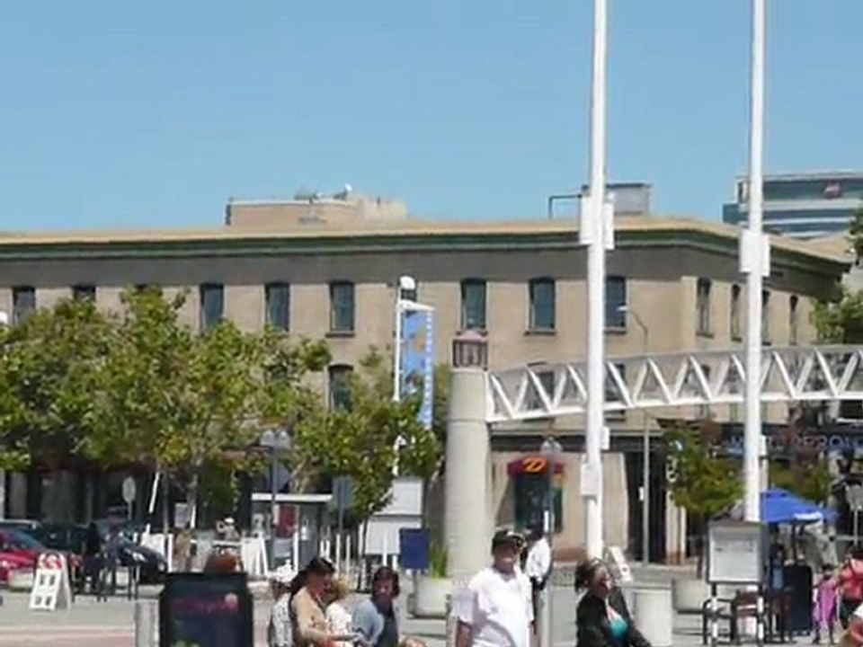 J. LONDON SQUARE, OAK 005