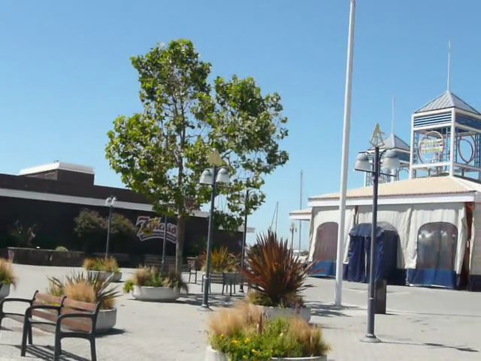 J. LONDON SQUARE, OAK 008