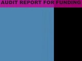 Audit Report for NGO fundraising