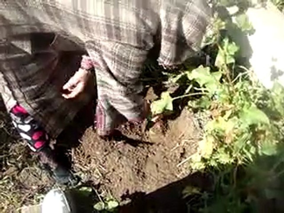 Sihr enterrer dans un cimtiére / Ruqia Rabiinaim