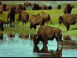 mucize gezegen 2 ilik bir dunya