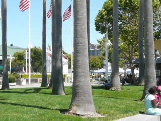J. LONDON SQUARE, OAK 017