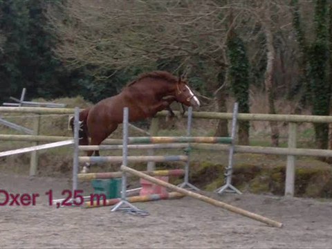 Uhland d'Aven : vidéo au saut en Liberté mars 2012