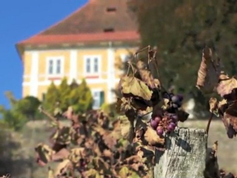 Das HÖLLERHANSL - Lied ... Stainz 23 - stromlos