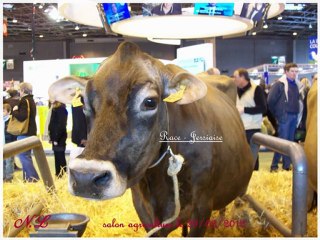 SALON D AGRICULTURE 29-02-2012