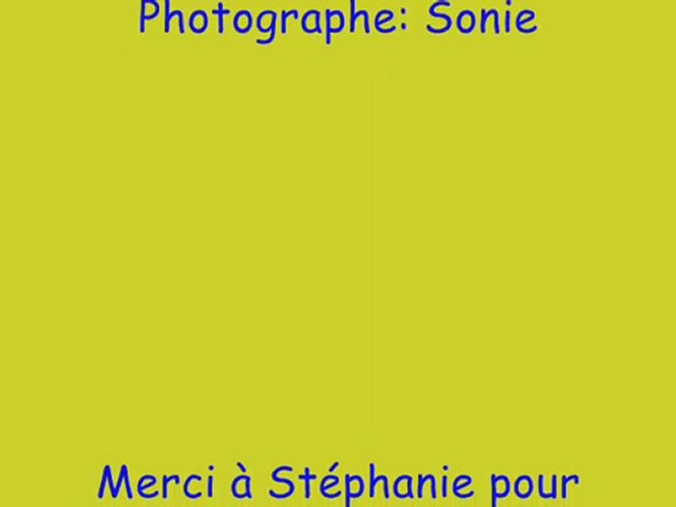 stop motion chat chaligny