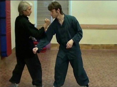 Боевая техника Кунг фу. Школа Цюань-шу , стиль цзыжань-мэнь .