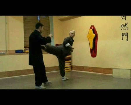 Школа боевых искусств Цюань-шу . Стиль цзыжань-мэнь . Москва.