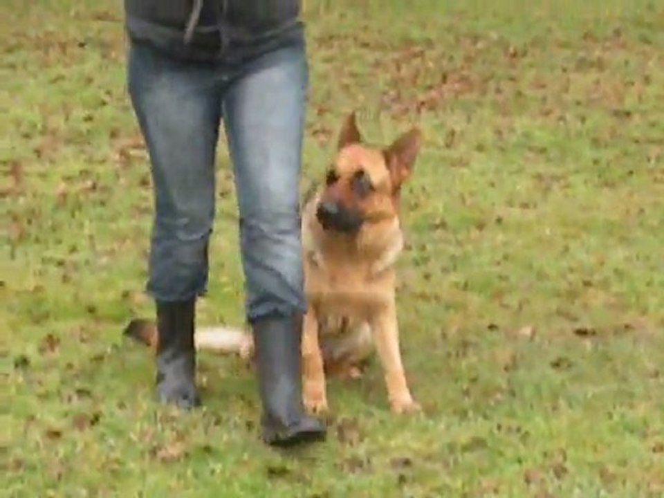 FONTANA des FLAMMES du MAL