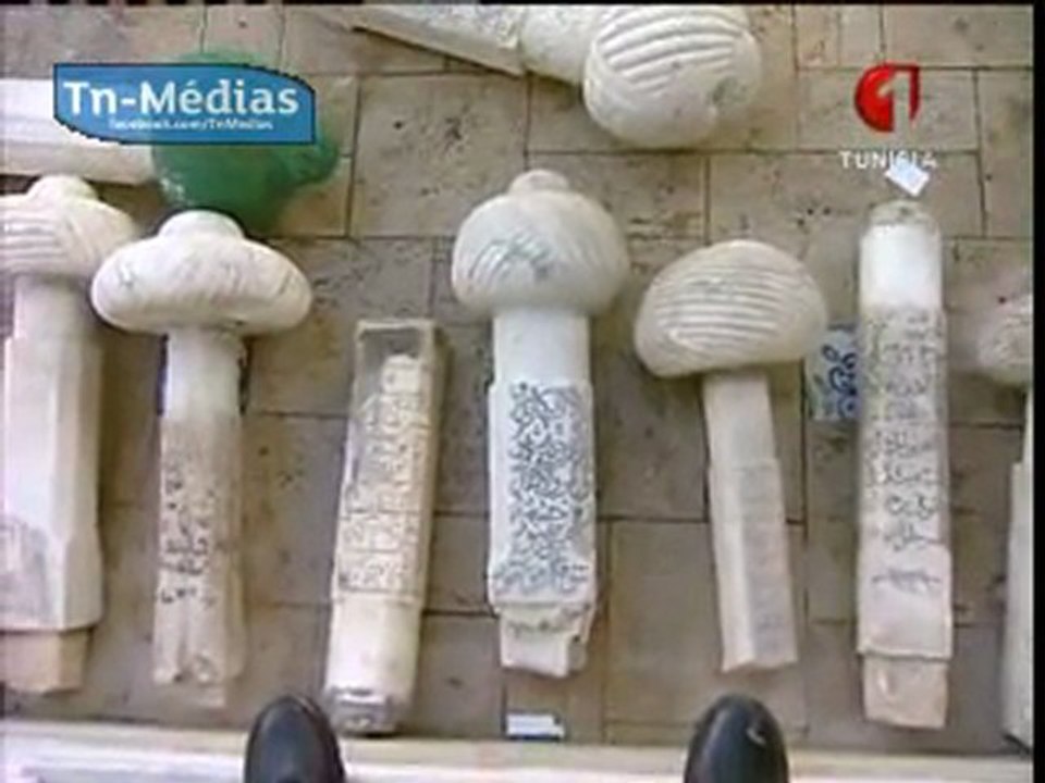 Tunisie - Un Francais Cache Un Trésor Inestimable Chez Lui