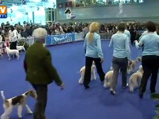 Des invités d’exception pour le Salon de l’agriculture