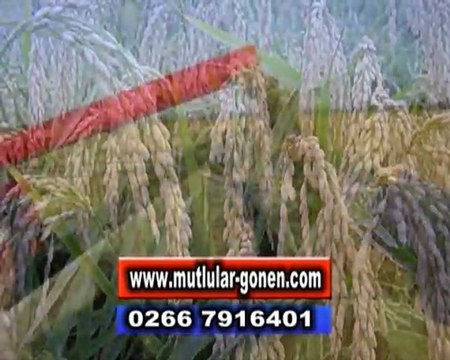 mutlular-gurup-çeltik-et-hayvancılık-pirinç-reklam türkiyemtv