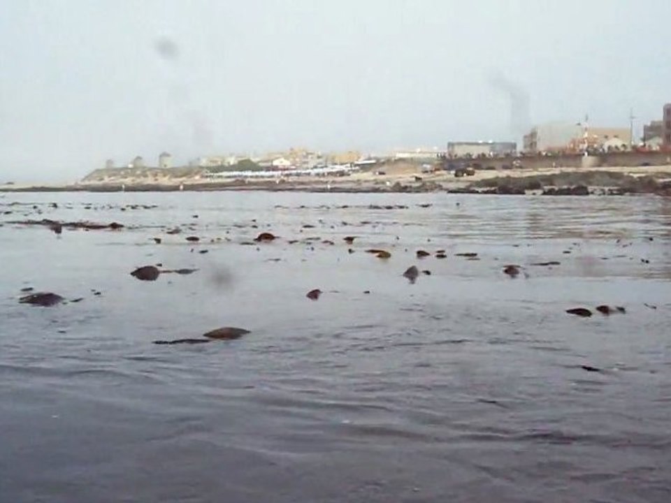 Apulia passeio de canoa