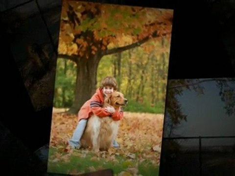 Dog Boarding Shakopee MN