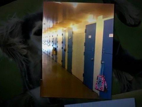 Dog Boarding Eden Prairie MN