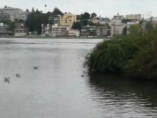LAKE MERRITT.02 003