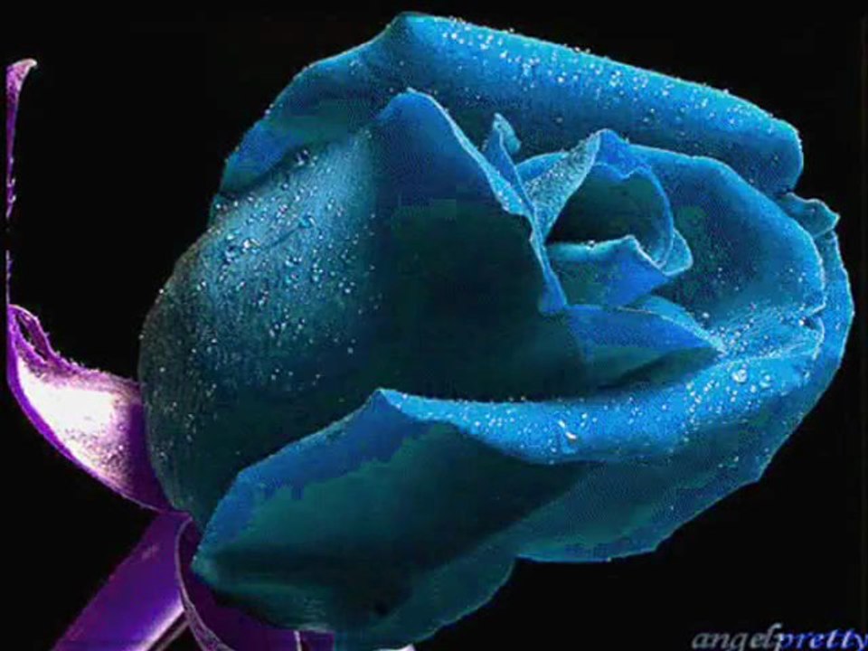 Cennet & Ferhat Göçer -- Doüum günü