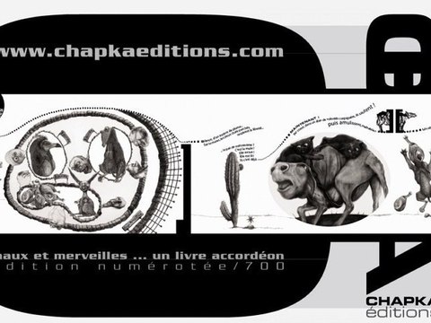 MAUX ET MERVEILLES livre accordéon.