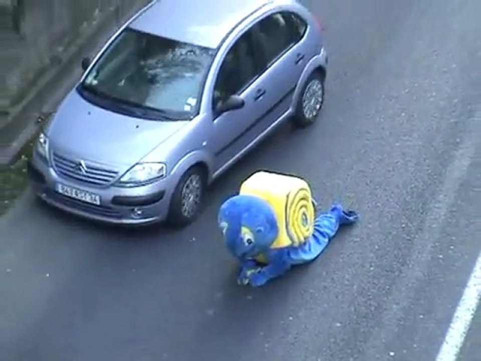 The snail