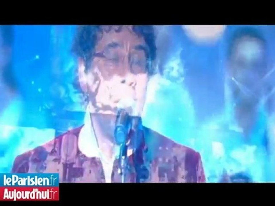 Victoires : Thiéfaine et Ringer triomphent, Voulzy et Brigitte savourent