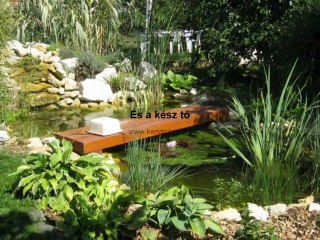 Kerti tóépítés - Durucz kert