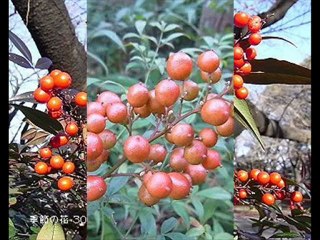 夕陽のスケッチ