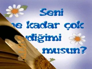 Canım Dogum Günü Kutlu Olsun Yanında Olamadım İçin Üzgünüm :(