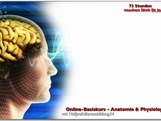 Heilpraktikerausbildung Kurs Anatomie/Physiologie