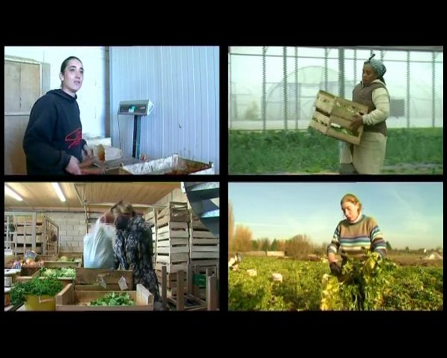 IUT BLOIS, TECAME, Projet tutoré Barbara LANCIA