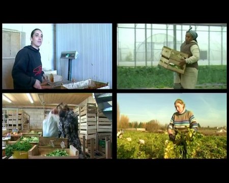 IUT BLOIS, TECAME, Projet tutoré Barbara LANCIA