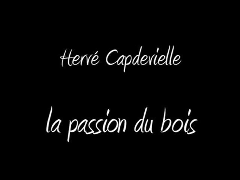 IUT BLOIS, TECAME 2012, Projet tutoré Camille Pesnel