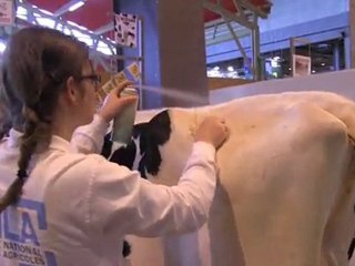SIA 2012 : Les lycées en lice !