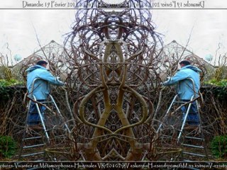 Sculptures-Vivantes Dimanche 19 Février 2012