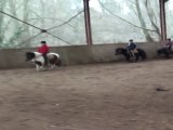 Équitation - poney games au centre équestre du moulin du Goutay dans le 87 en Limousin