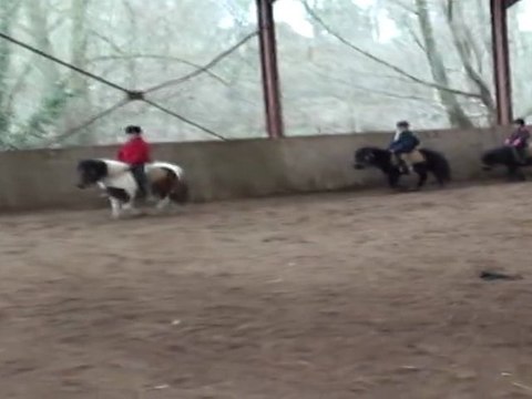 Équitation - poney games au centre équestre du moulin du Goutay dans le 87 en Limousin