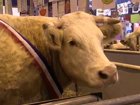 SIA 2012 : Dernières heures au salon