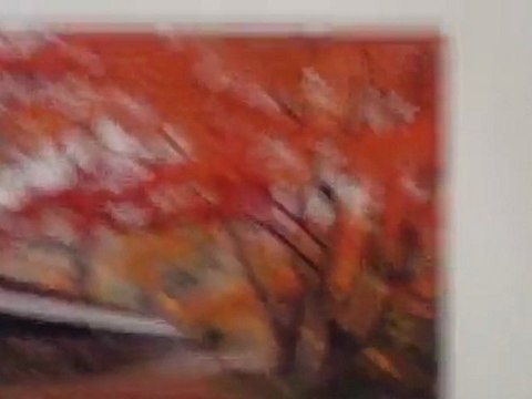 Japan expo sud 4eme vague 3