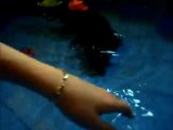 Bretzel mon vison nage dans la piscine coquillage été 2010 / my pet mink swims