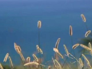My Video