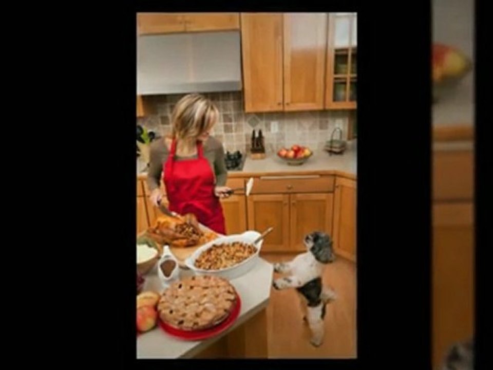 What are the secrets revealed in "dog food secrets"?