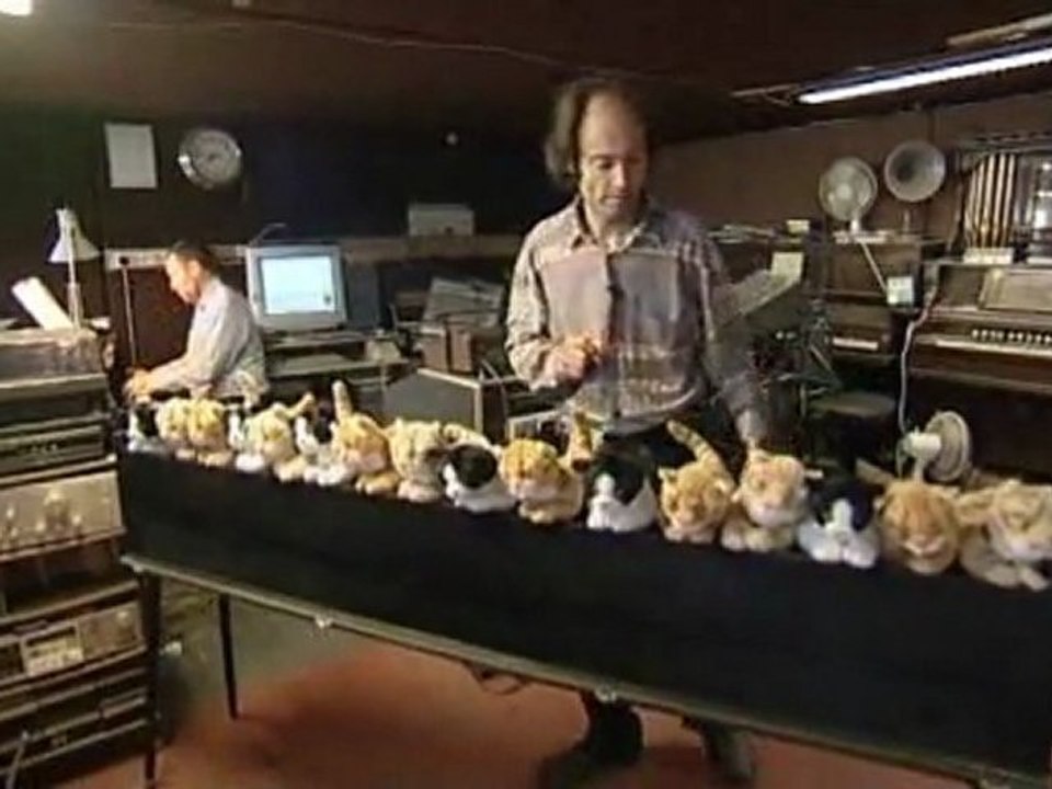 L'Orgue Peluche de Chat