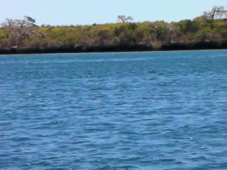k/ 283