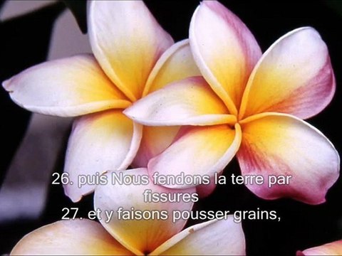 Sourate 80. Il s'est renfrogne (Abasa) - Traduction en Français