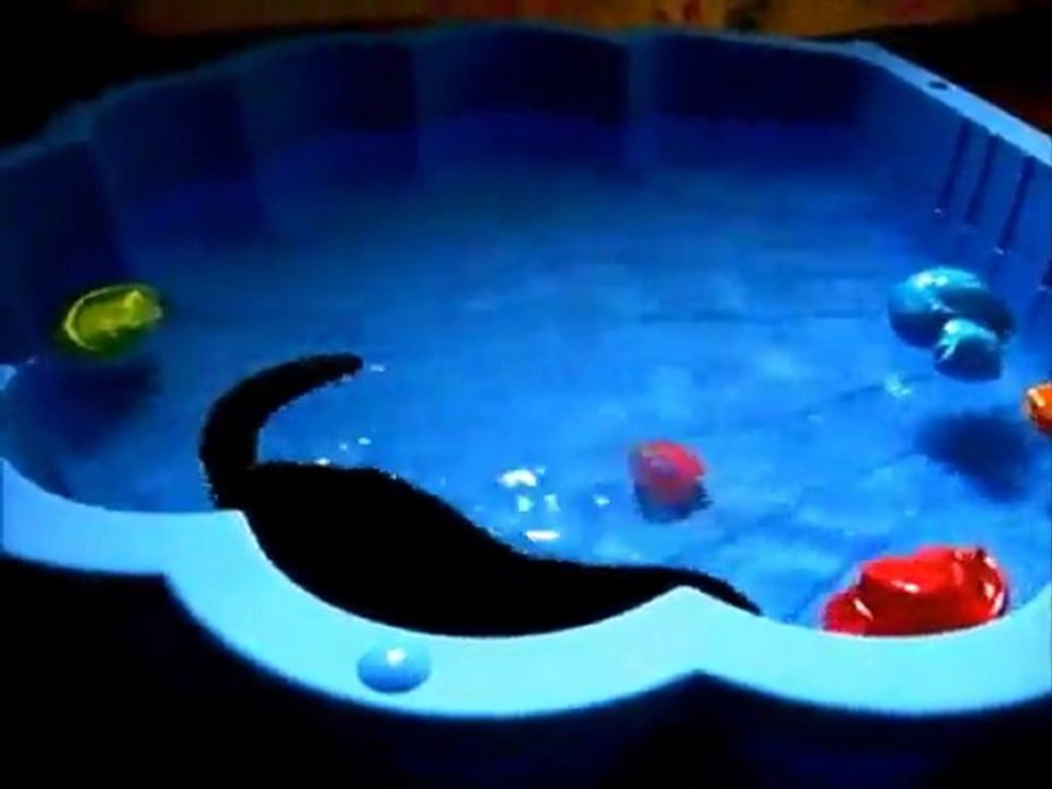 Bretzel mon vison bébé dans la piscine coquillage juin 2010 / my pet mink