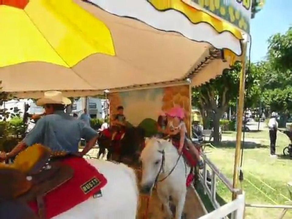 2010 :FAIR PLEASANTON 036